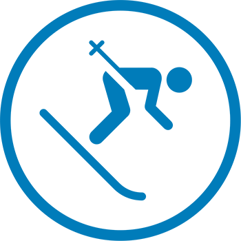Ski Bus Icon
